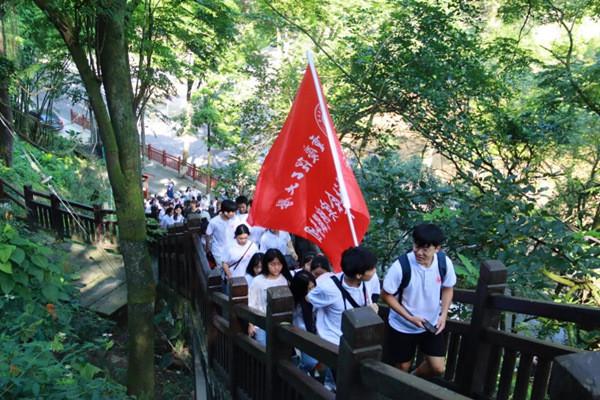 假面骑士歌查德传奇骑士形态皮套公开 银河沃兹的皮套被拆了
